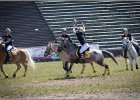 Pferd International 042